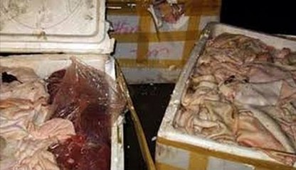 Hà Tĩnh: Bắt xe tải “tuồn” 500kg nội tạng thối từ Nam ra Bắc