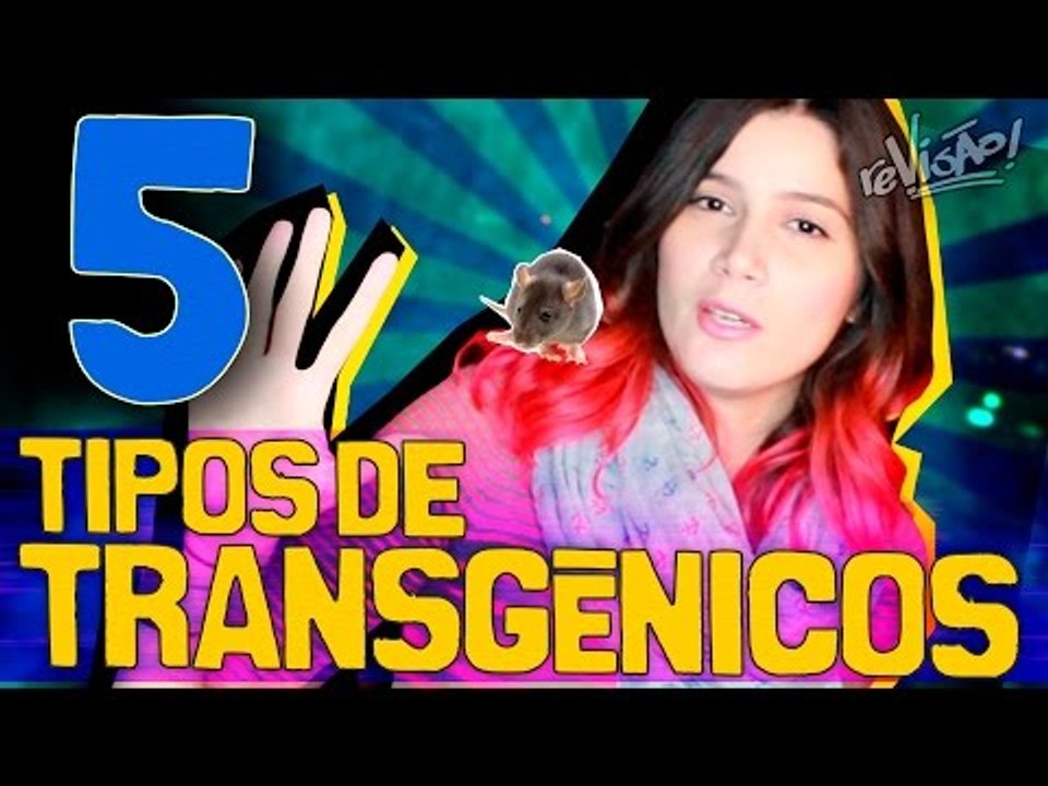 5 Tipos de Transgênicos e Suas Aplicações
