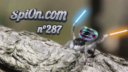 Le Zap de Spi0n n°287 - Zapping du Web