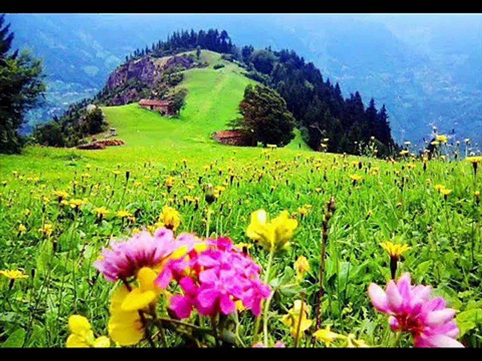 Shina song "Bay bon la tom giltat bujun" by singer of Gilgit Baltistan Jabir Khan Jabir