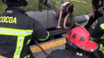 Trois pitbulls sont pris au piège dans un collecteur d'eau de pluie... Les pompiers les ont sauvés héroïquement !