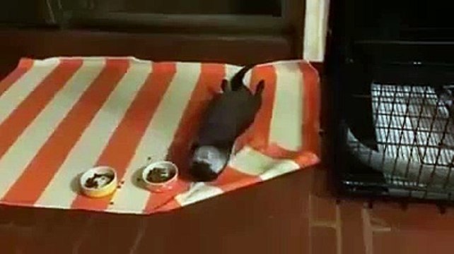 вот я так же провожу выходные)))