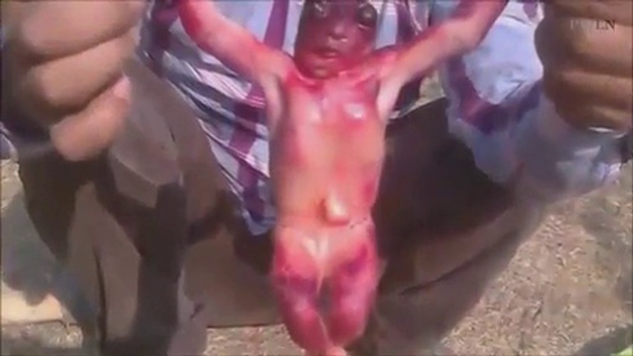 O ser humano gosta Criatura encontrada debaixo da Terra