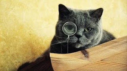 Cats Being Jerks Video Compilation || FailArmy