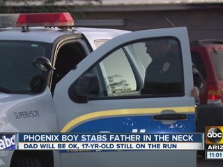 Phoenix boy stabs father in the neck