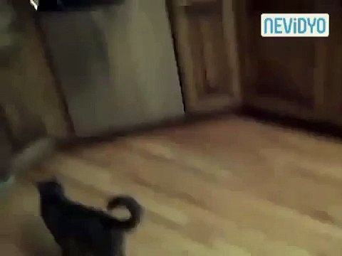 Yolun Ortasına Yatıp İntihar Etmeye Çalışan Adam - Komik videolar - Funny videos