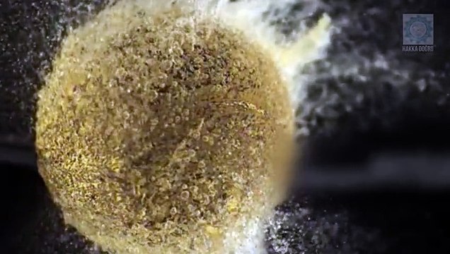 Dünyayı Birde Bu Hızda İzleyin (Ağır Çekimler) - Komik videolar - Funny videos