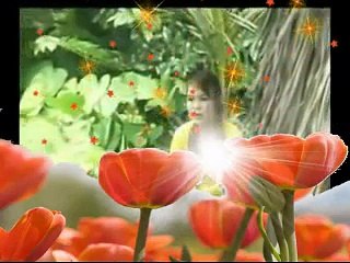 TỰA CÁNH BÈO TRÔI