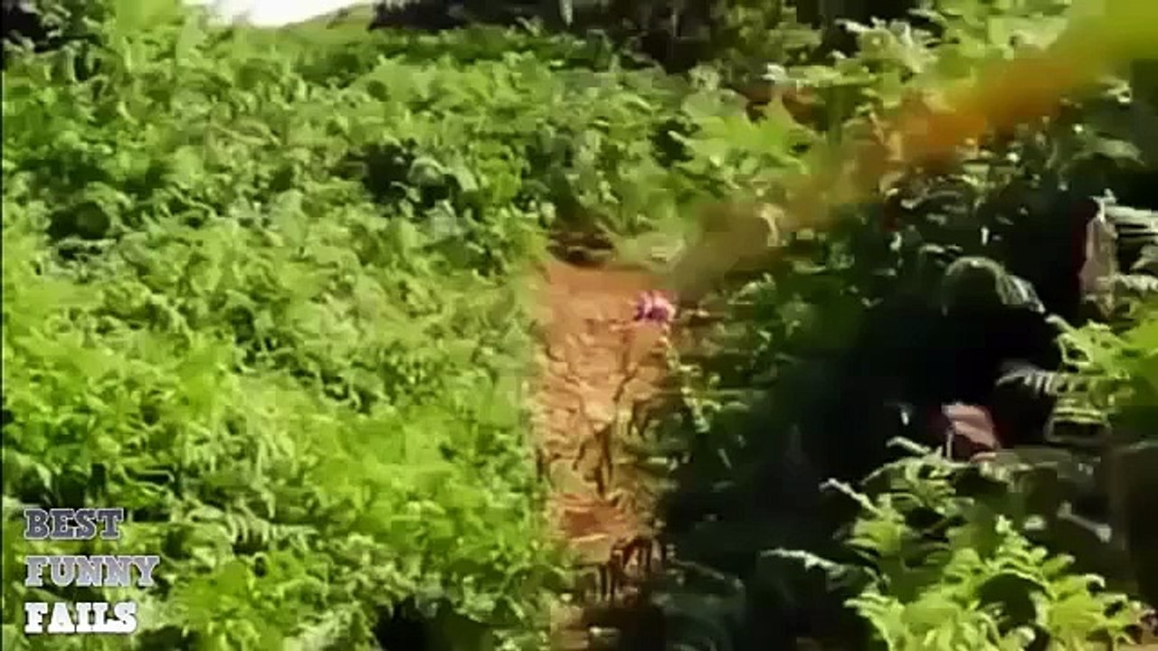 Funny videos compilation june 2015. 재미있는 동영상. 面白いビデオ. Video lucu