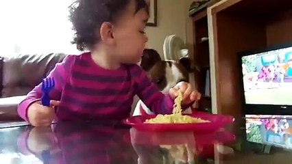 Sevimli Bebeğin Ağzından Noodle Çalan Sinsi Köpek