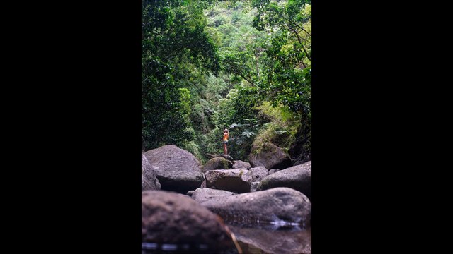 What to know about Investing - Guide for First Time Investors