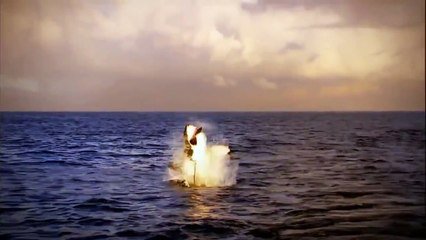Wild discovery animals channel National Geographic documentary Animal planet HD #6