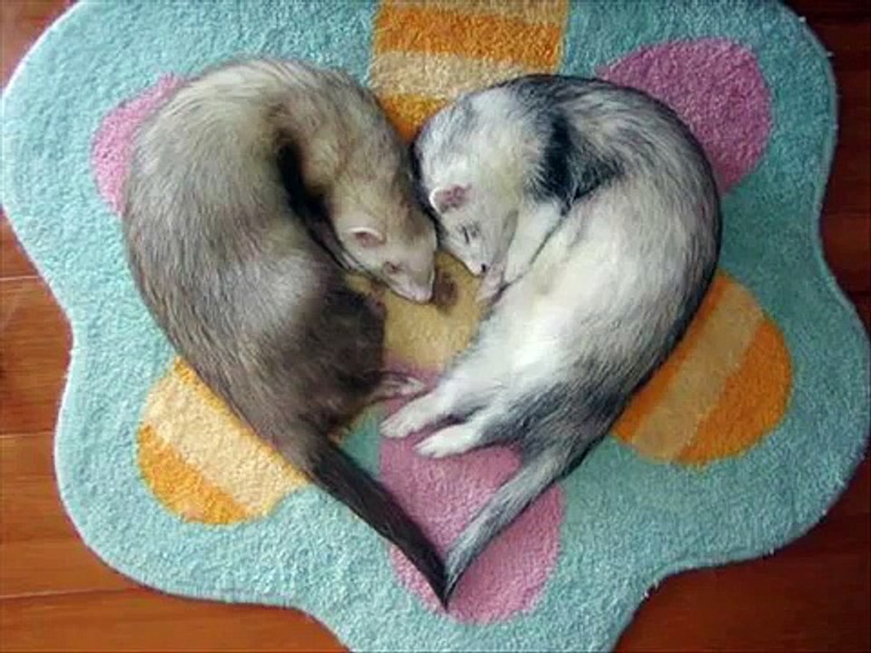Loves_Theme_-_Barry_White II