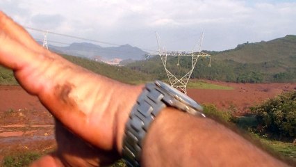 Repórteres do EM registram momentos em que animais pedem socorro