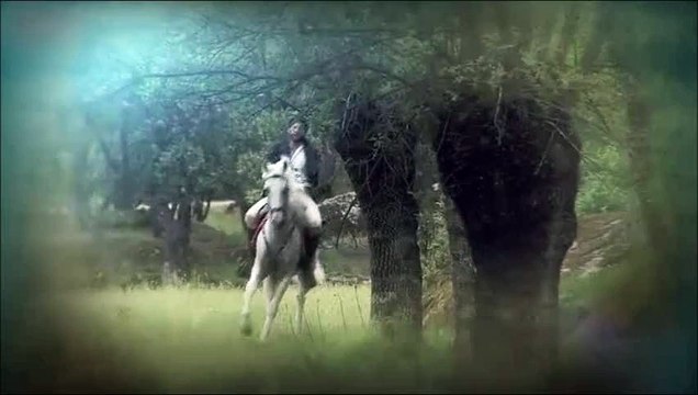 bosco y berta capitulos 1194 y 1195