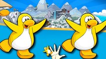 Finger Family Rhymes For Children Club Penguins Songs Cartoons | Finger Family Nursery Rhy
