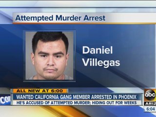 Wanted California gang member arrested in the Valley