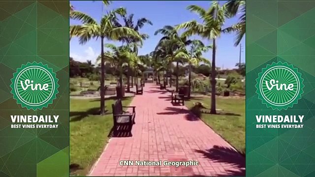 BEST ERIC DUNN Vine Compilations 2015 | Funny Eric Dunn Vines HD (200 W/ Titles)