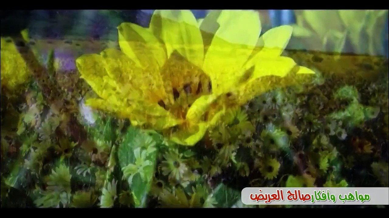 فاطمة بنت محمد رسول الله للشيخ نبيل العوضي