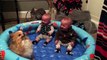 Twin Babies Can't Stop Giggling At Their Pomeranian
