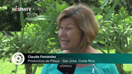 Cámara al Hombro - Los beneficios de Pitaya, de la salud a la industria