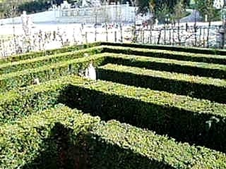 Labyrinthe