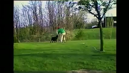 Dog Steals Hose and Sprays Owner So funny !