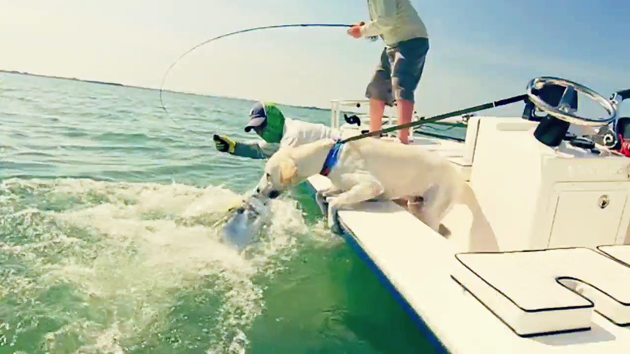 Professional Fishermen