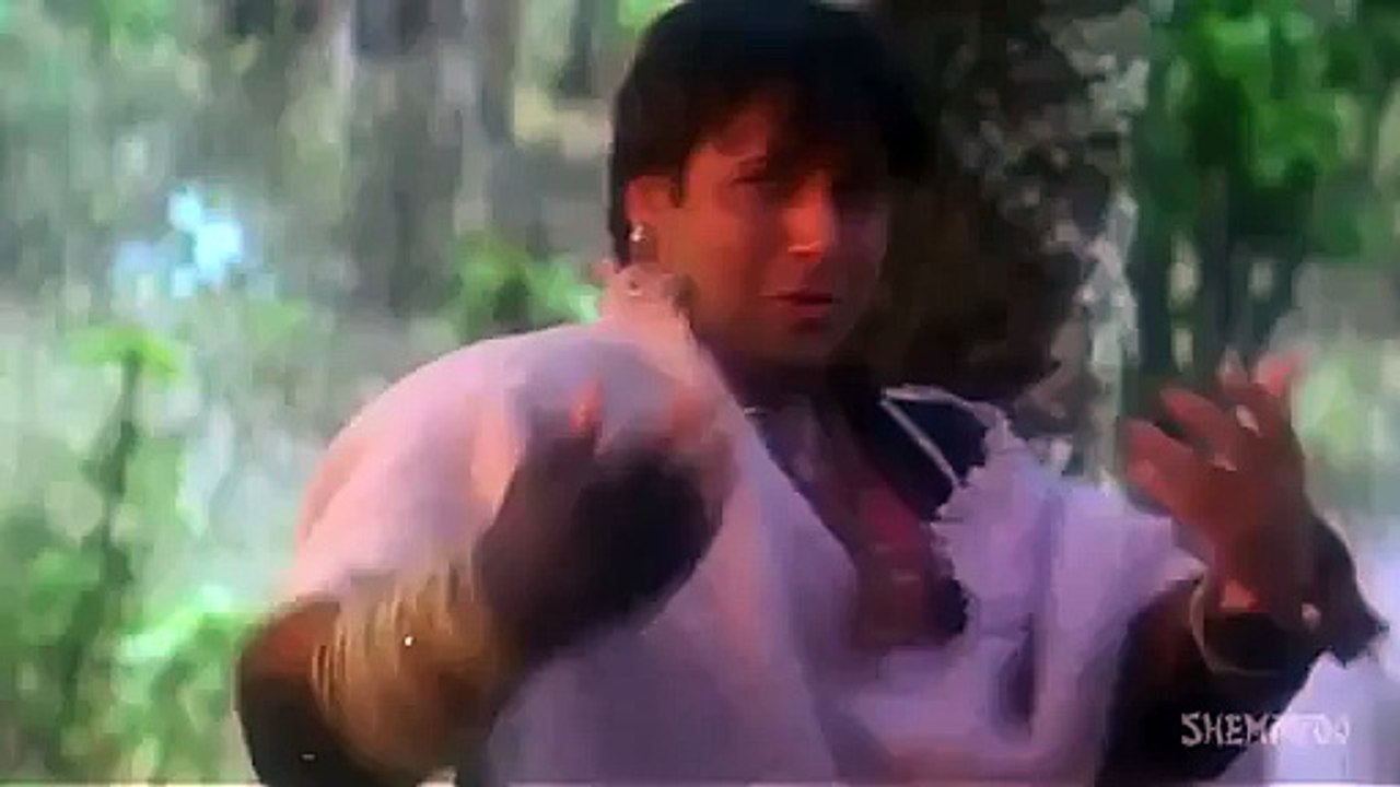 Main Tera Deewana - Maharaja
