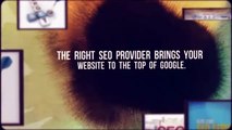 Top SEO Experts Plastic Surgeons Miami