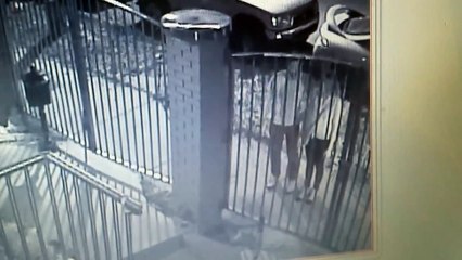 Sex Addicts Break Into Yard To Have Sex Caught in The Act Unbelievable