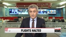 Putin suspends Russian passenger flights to Egypt