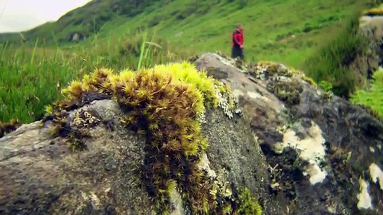 Making Scotland's Landscape: The Land