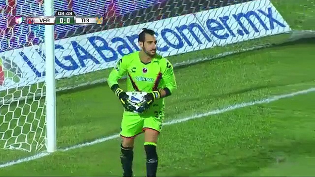 Veracruz vs. Tigres UANL  1 - 3 Highlights (Liga MX - 7 November 2015)