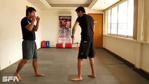 Entrenamiento de Artes Marciales Mixtas