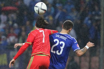 Sejad Salihovic vs Wales 2-0 (10.10.2015)
