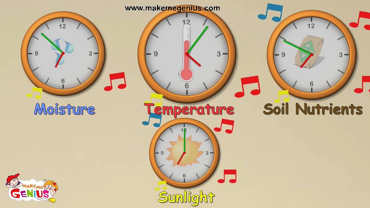 Seed Parts ,Seed Germination in Hindi (बीज के बारे में )