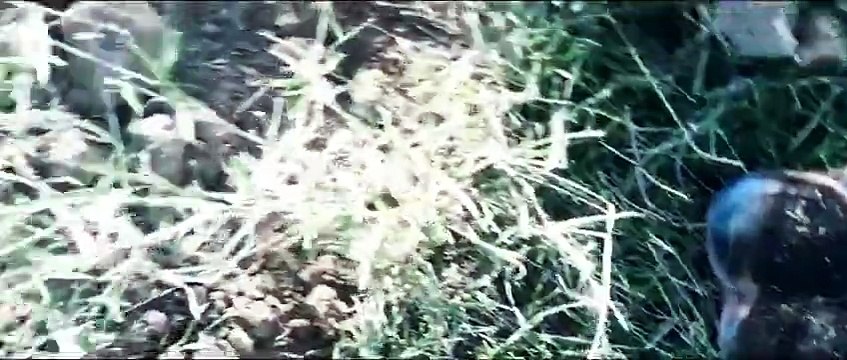 RIP SENA BOOB MOUSE PAD (PROPER BURIAL)