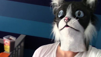 Chats vs Masque de chat