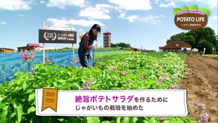じゃがい問題研究所 AKB48川本紗矢のPOTATO LIFE ♯４ / AKB48[公式]