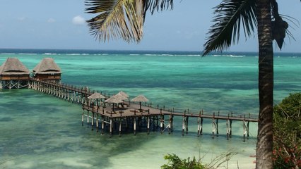 Notre Anniversaire de Mariage à Zanzibar