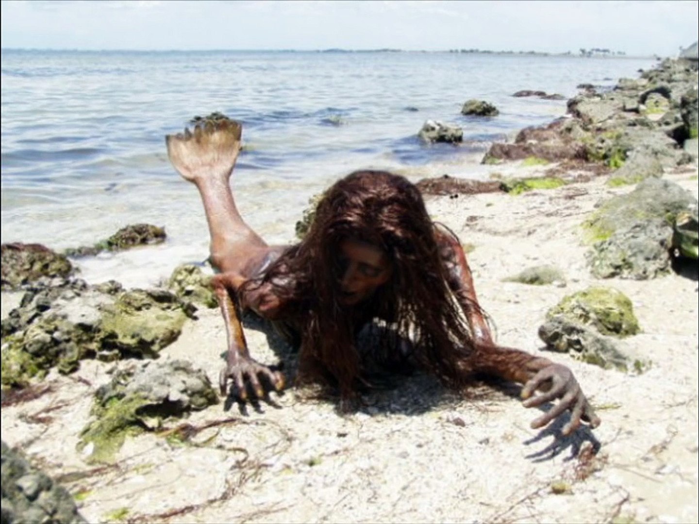 Real Mermaid Found - Proof of Mermaids Existence - Video Dailytune ...