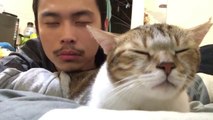 Cat and his Master dance on Hotline Bling Song... Hilarious!