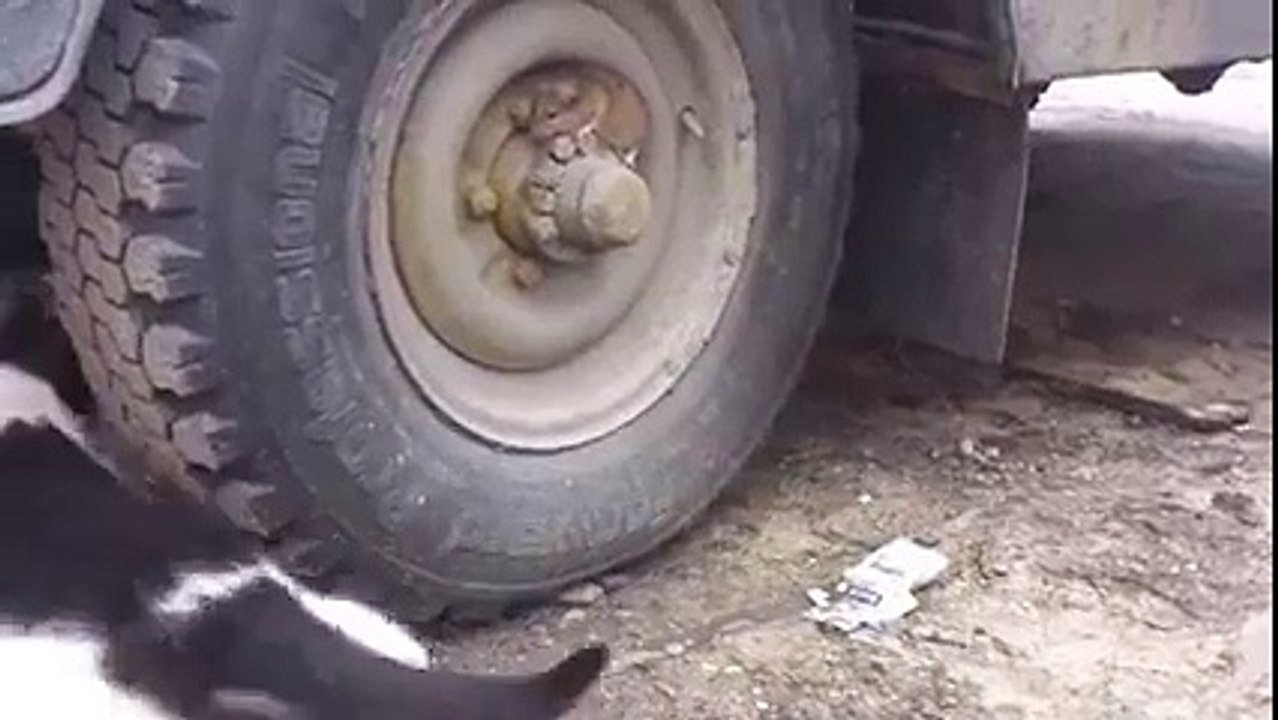 real time tom & jerry