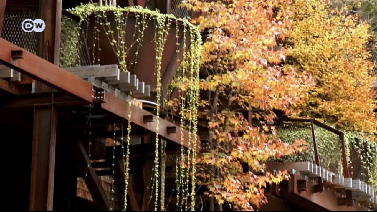 Euromaxx highlights | Euromaxx