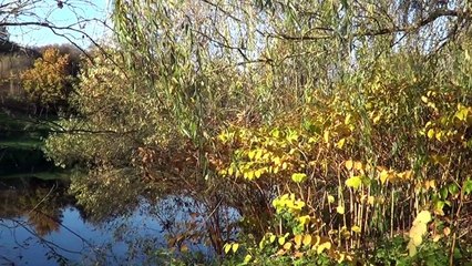 La Blies 2015 Promenade en Automne