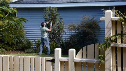 Trumbo - That Oscar Belongs To You