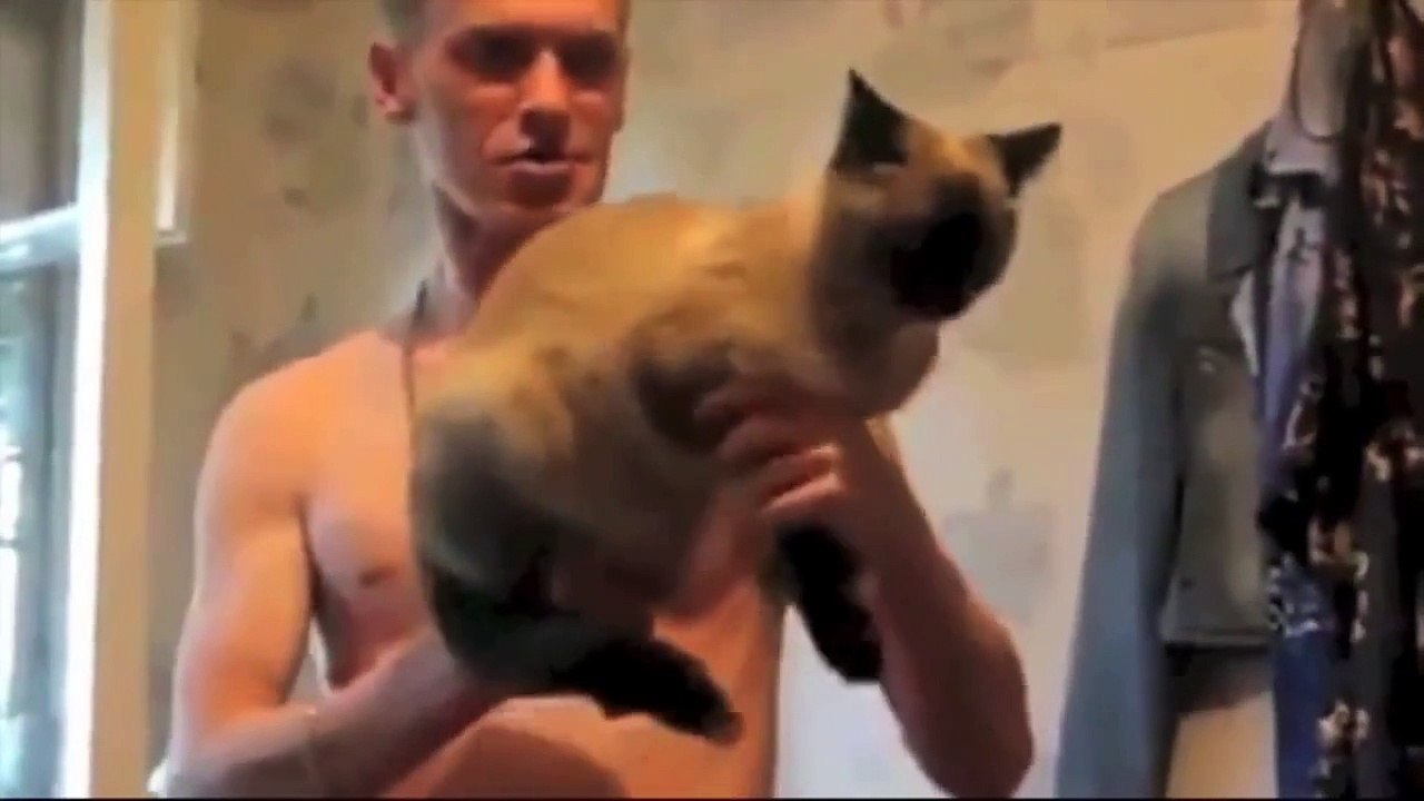 Best of Funny Cats Short Compilation with Sound Effects