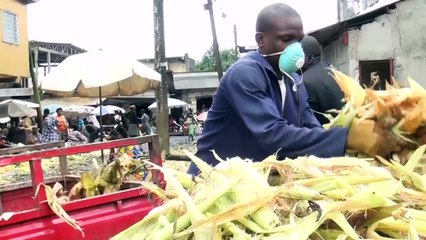 أوارق الموز والذرة لإنتاج فحم صديق للبيئة في الكاميرون