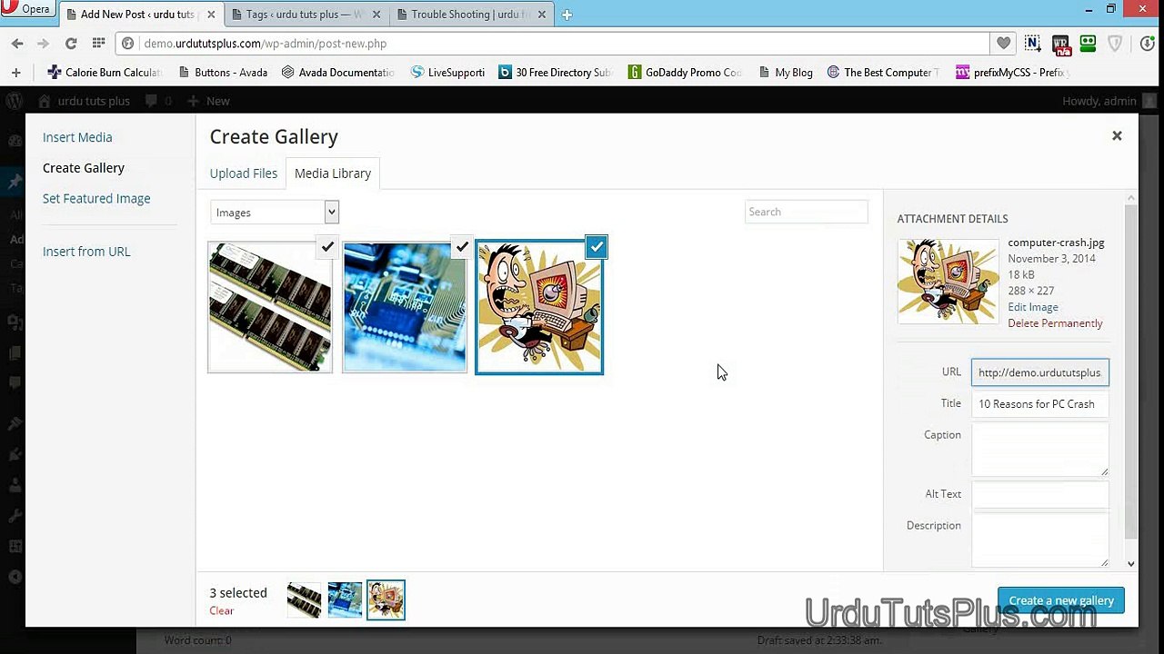 11. Inserting Galleries In Post_(new)